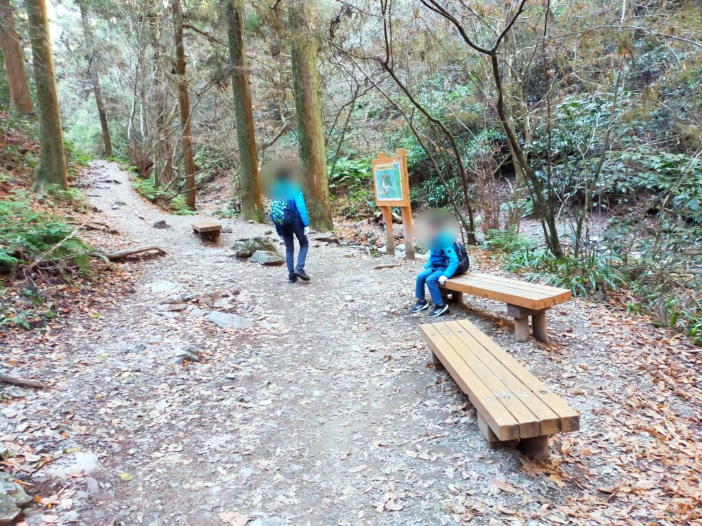 高尾山6号路　いくつかあるベンチの写真