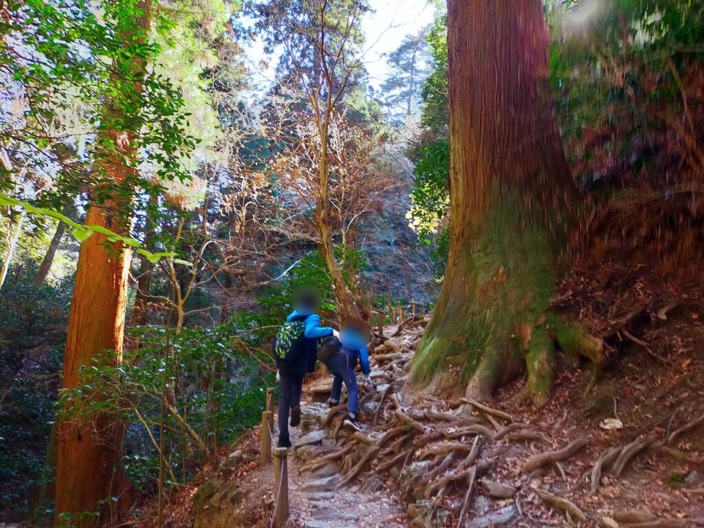 高尾山6号路　