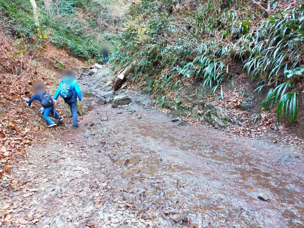 高尾山6号路　