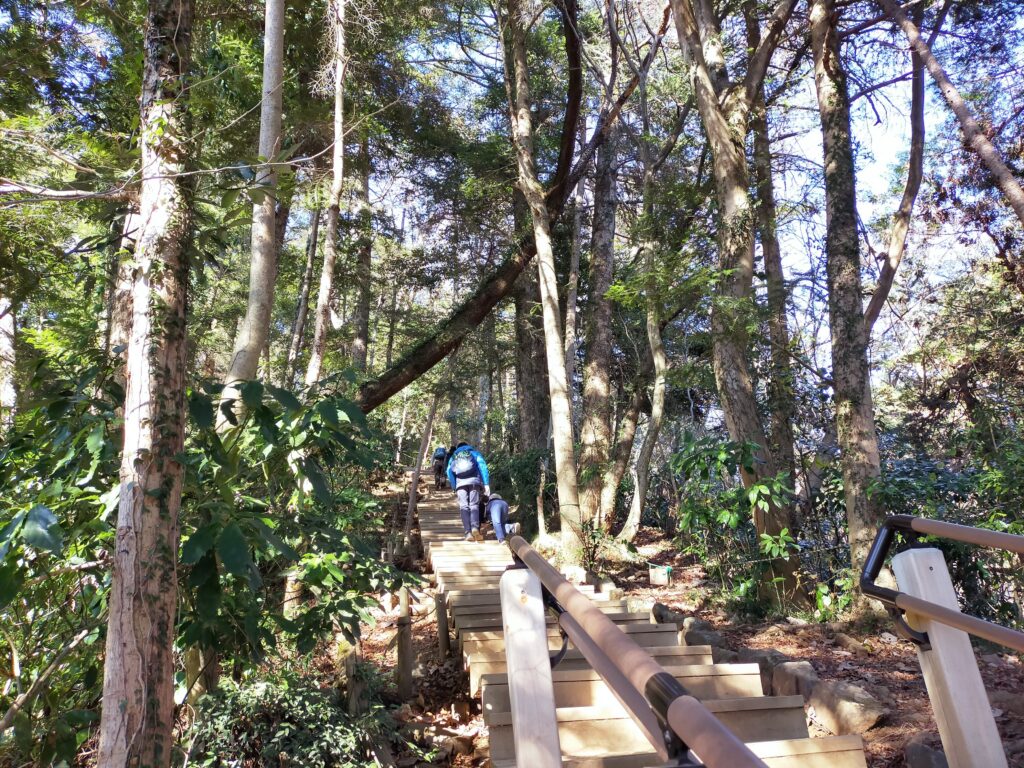 高尾山6号路　最後の階段の様子