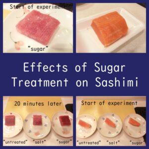 Sashimi treated with sugar or salt to compare tastes (tuna & salmon)