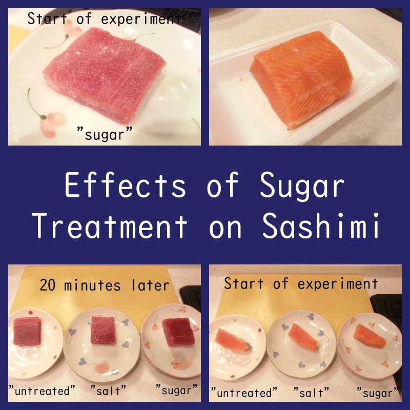 Sashimi treated with sugar and salt to compare tastes (tuna and salmon)