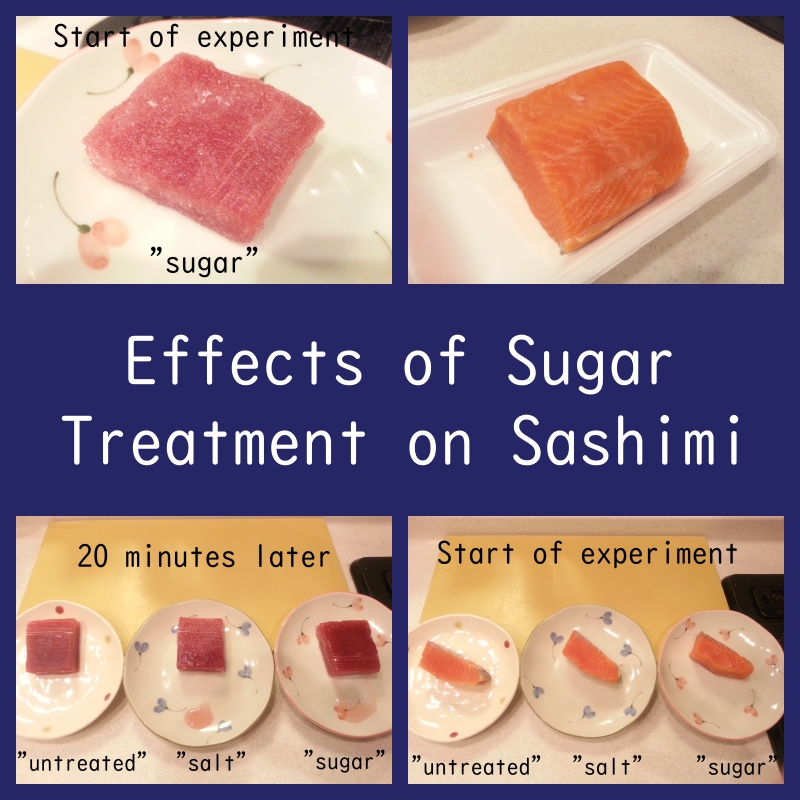 Sashimi treated with sugar or salt to compare tastes (tuna & salmon)