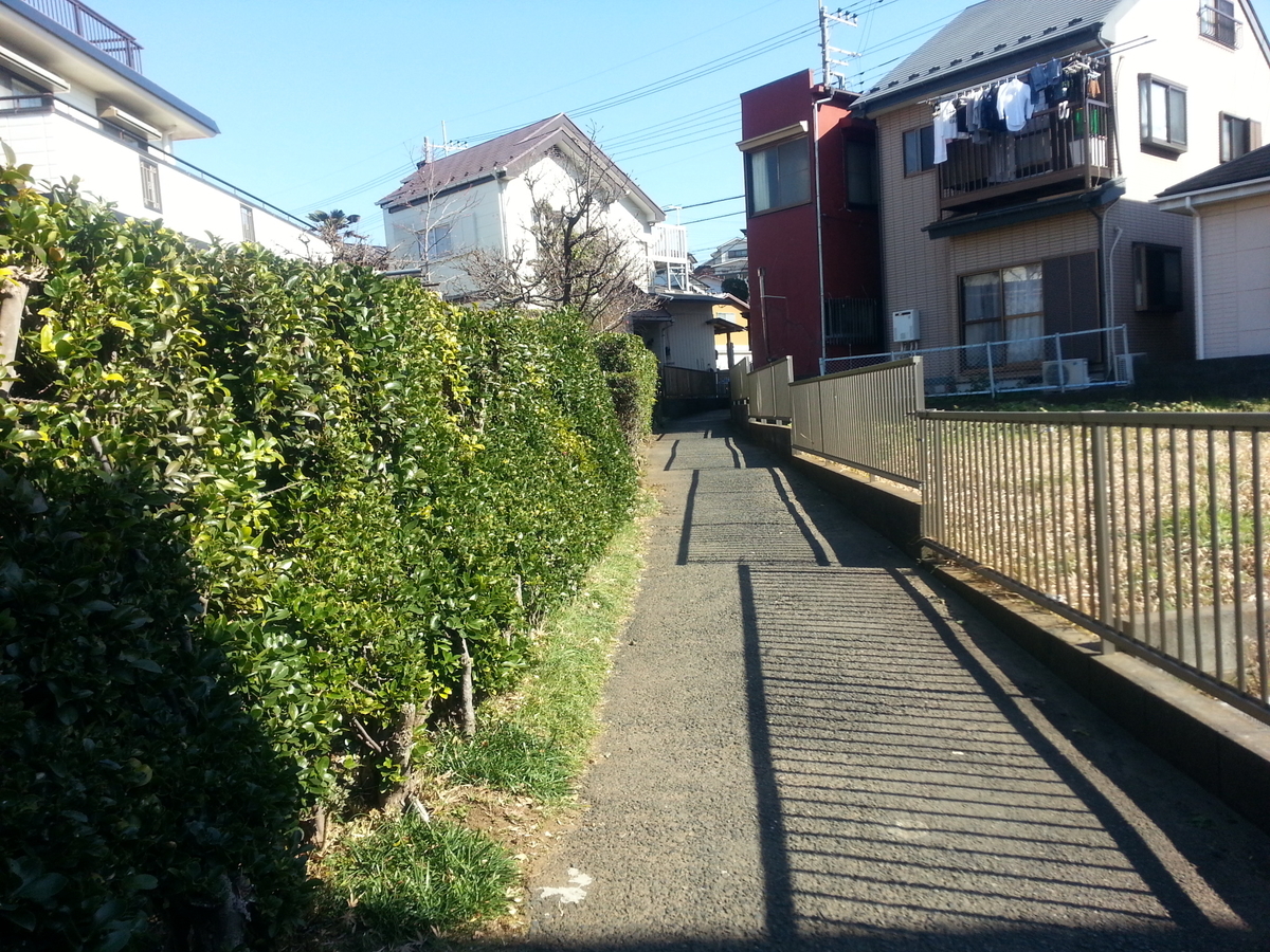 住宅地の道の写真