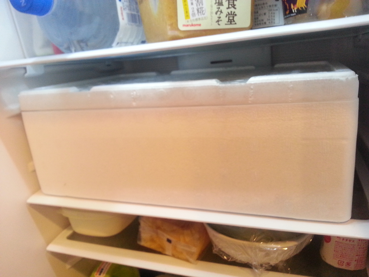 津本式 楽天 シマアジ 冷蔵庫