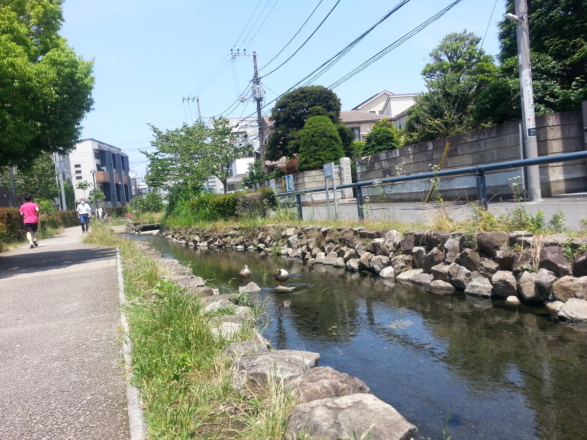 江川せせらぎ遊歩道