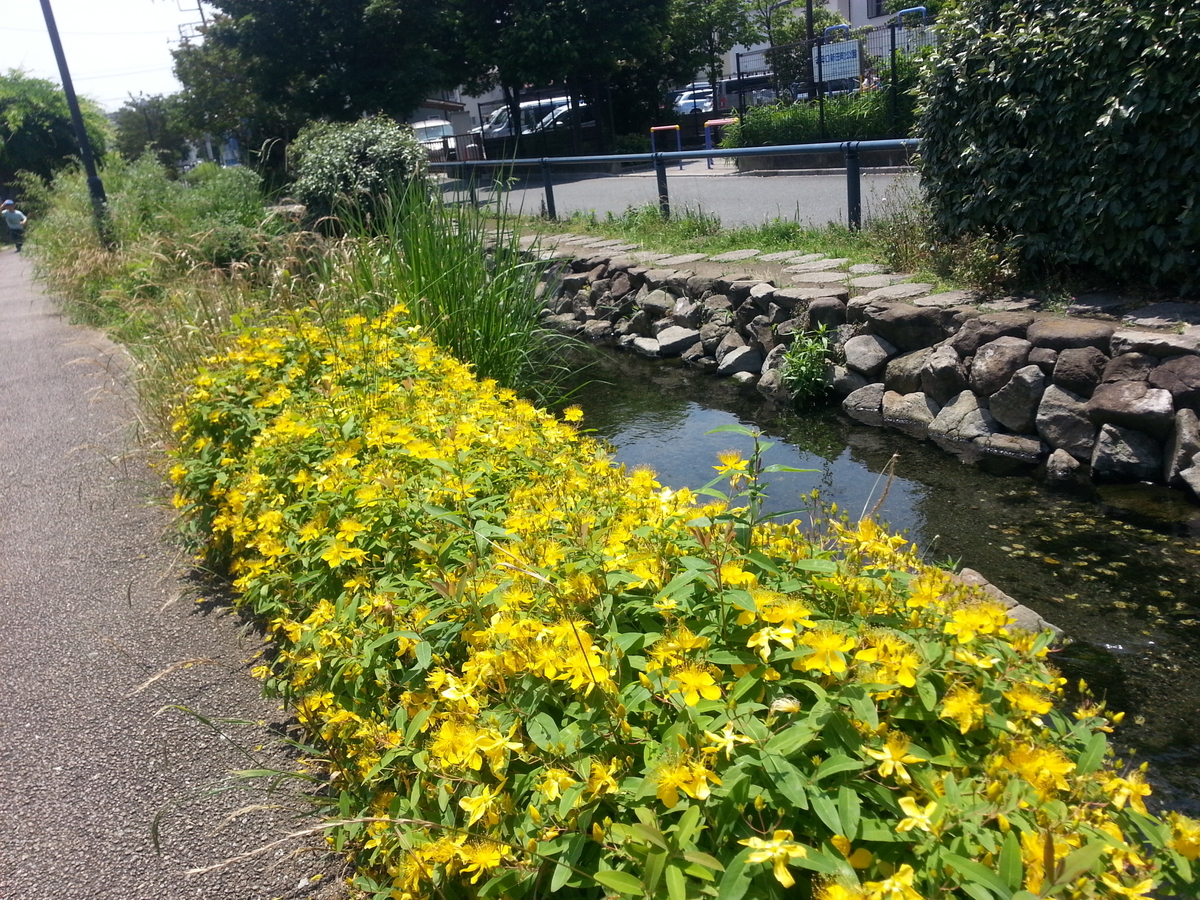 江川せせらぎ遊歩道