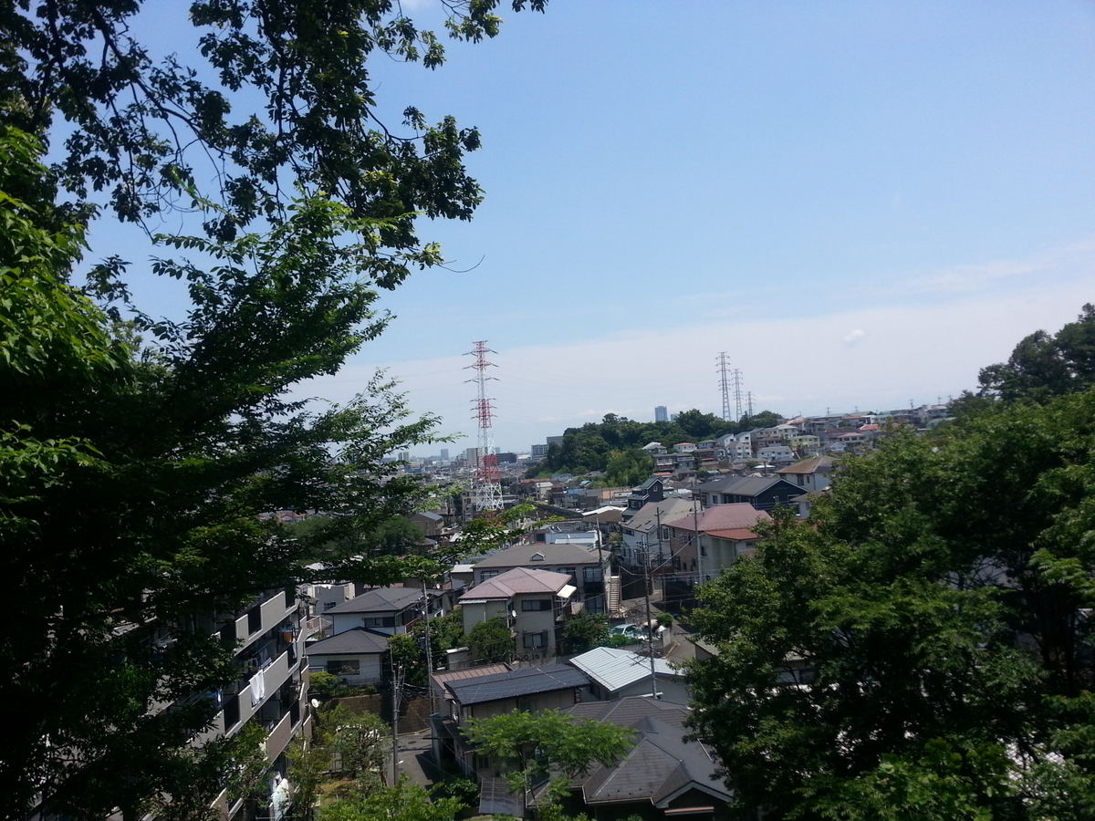 井田山 どんぐり広場