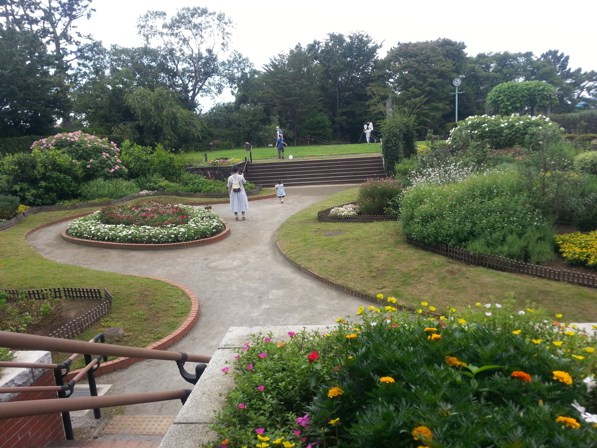 多摩川台公園 花