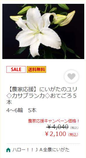 f:id:DadTech:20200806182319p:plain