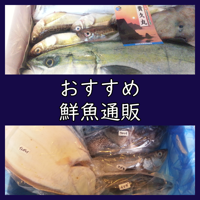 おすすめ 鮮魚通販 お取り寄せ