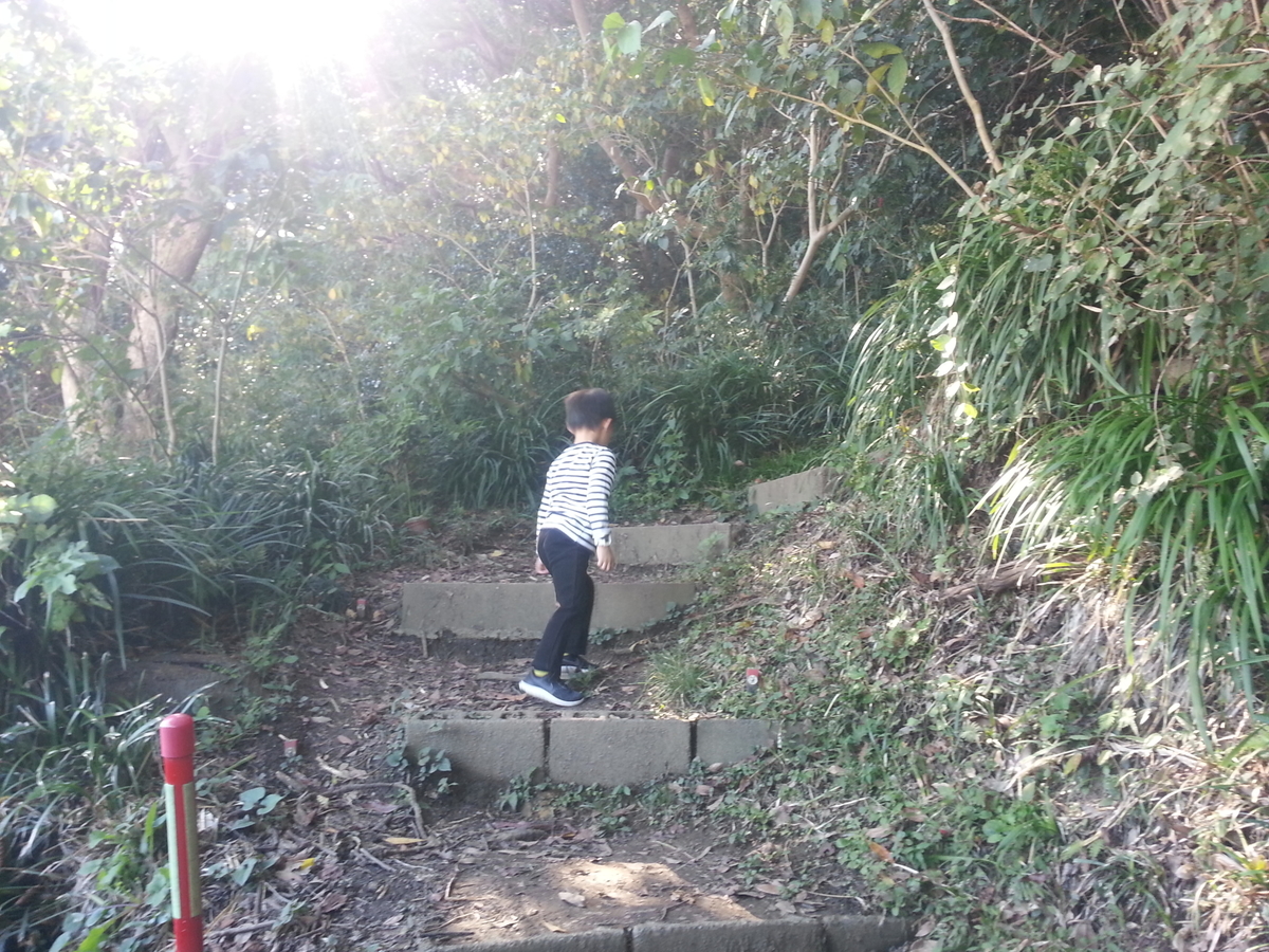 逗子海岸回廊コース ウォーキング 披露山公園