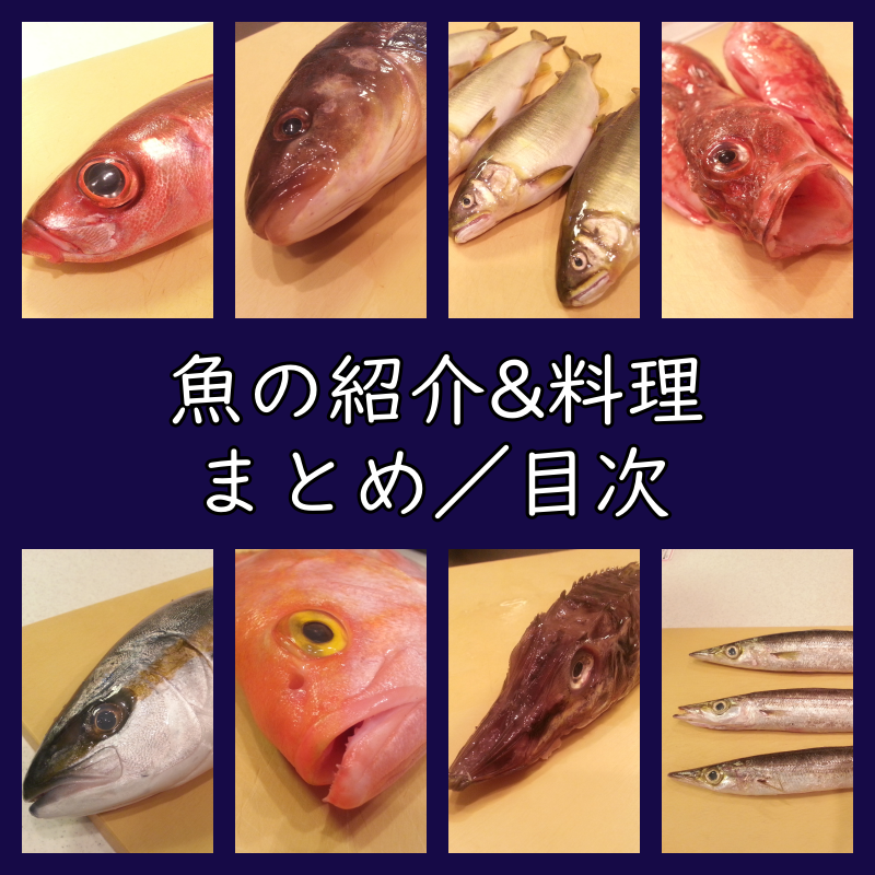 魚の紹介と料理のまとめ
