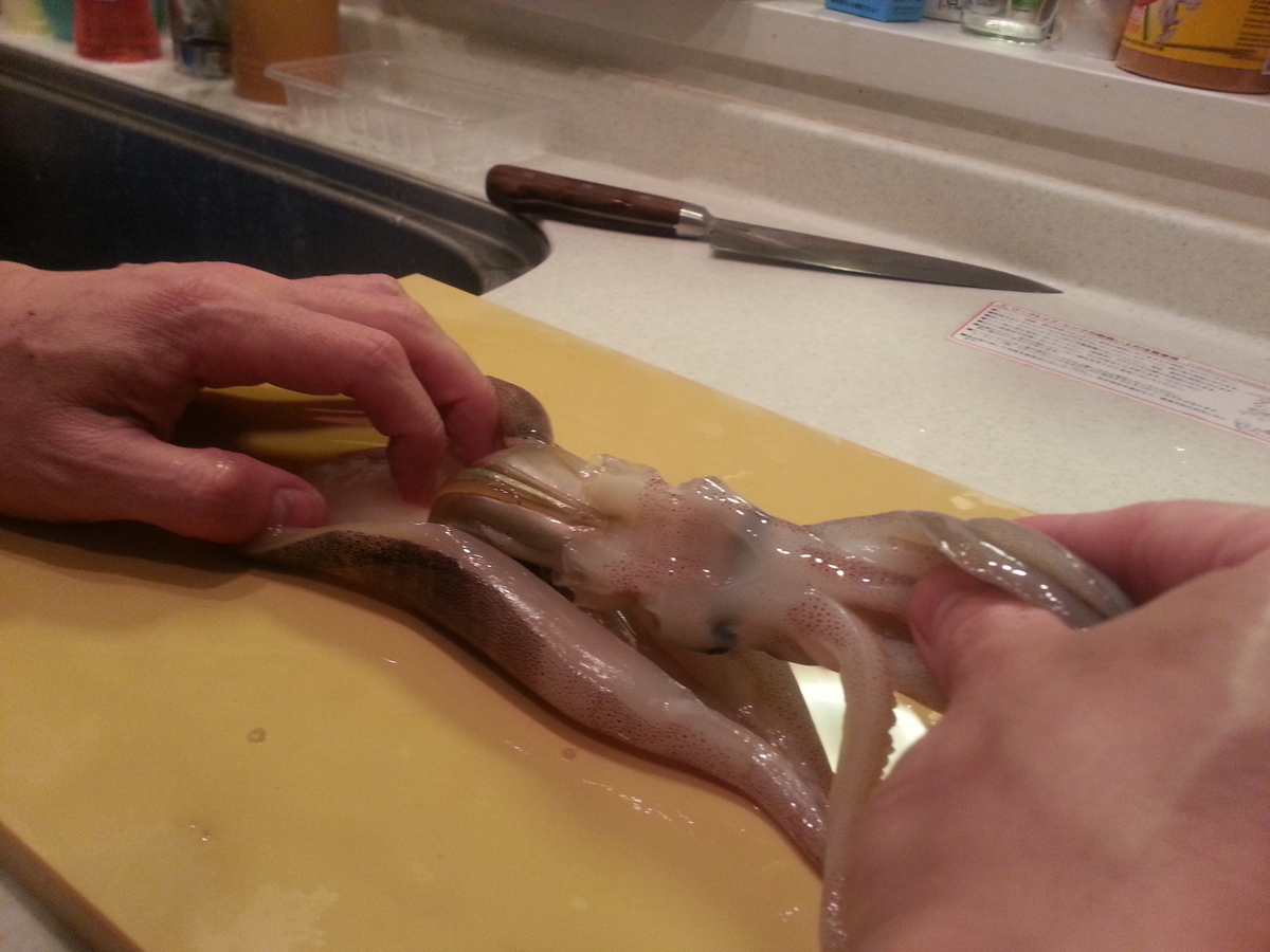 スルメイカの刺身 作り方