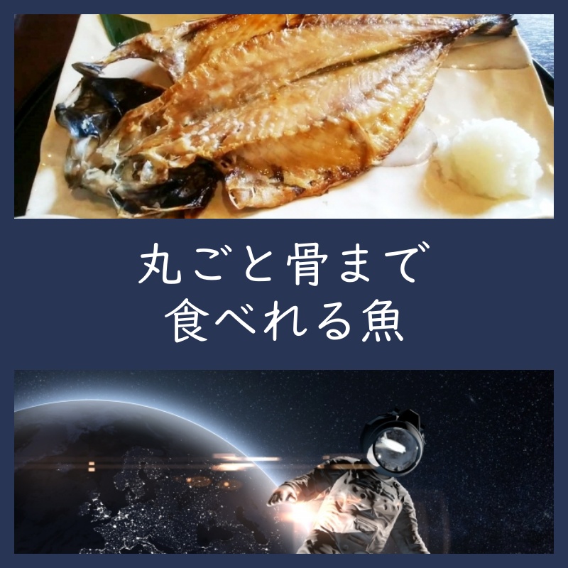 丸ごと骨まで食べれる魚の取り寄せ通販