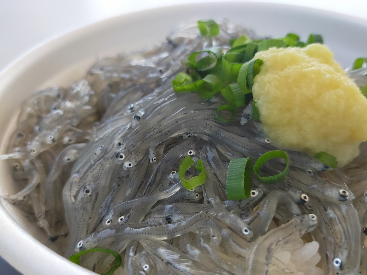 静岡県は用宗漁港で頂く生シラス丼（どんぶりハウス）