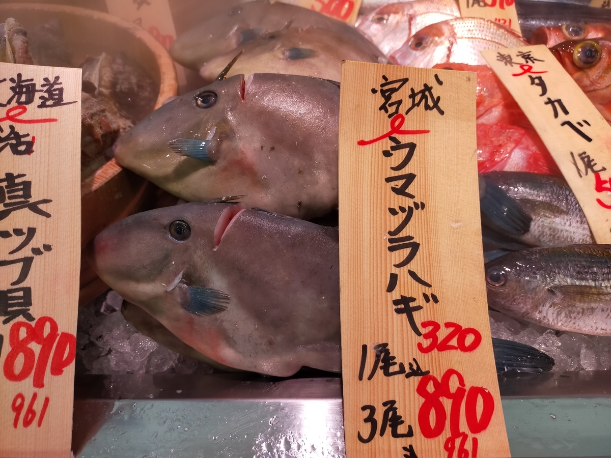 鮮魚店で売られているウマヅラハギ