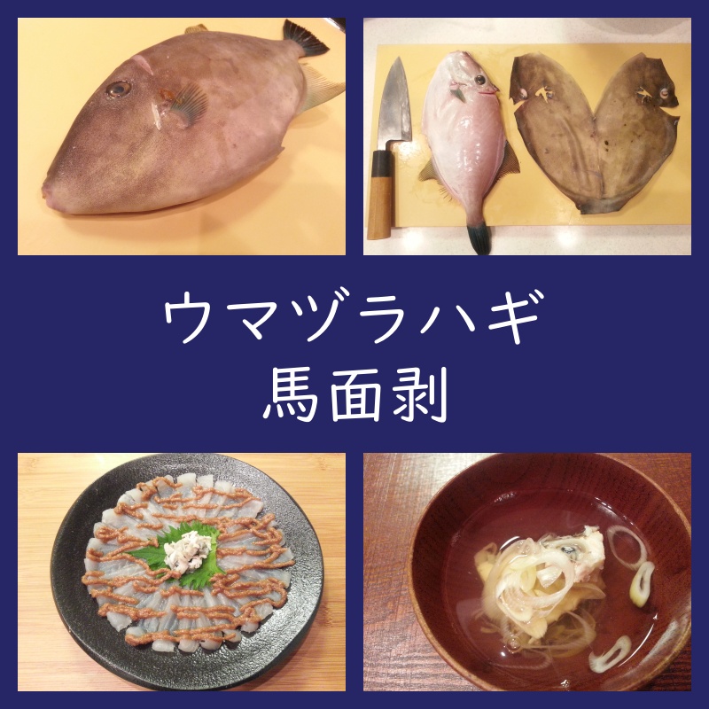 ウマヅラハギ 刺身 アラ汁 作り方