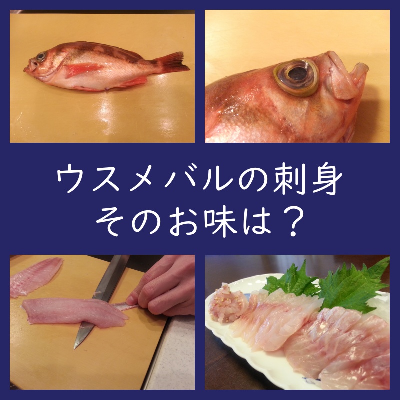 ウスメバルの刺身の味は？