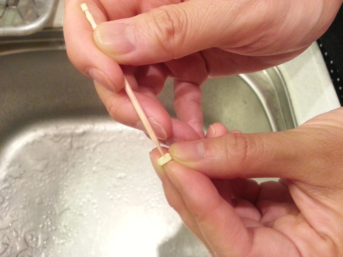 乳歯の洗浄と保管方法（洗い方）
