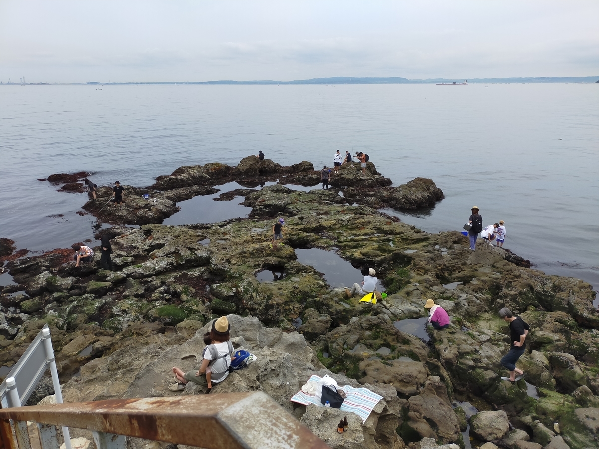 猿島 オイモノ鼻 水遊び 釣り場