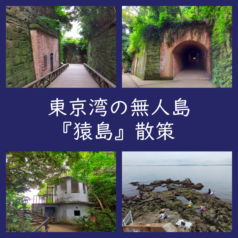 猿島 散策 レポートブログ