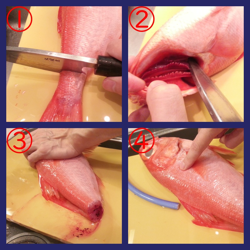 津本式究極の血抜き 金目鯛