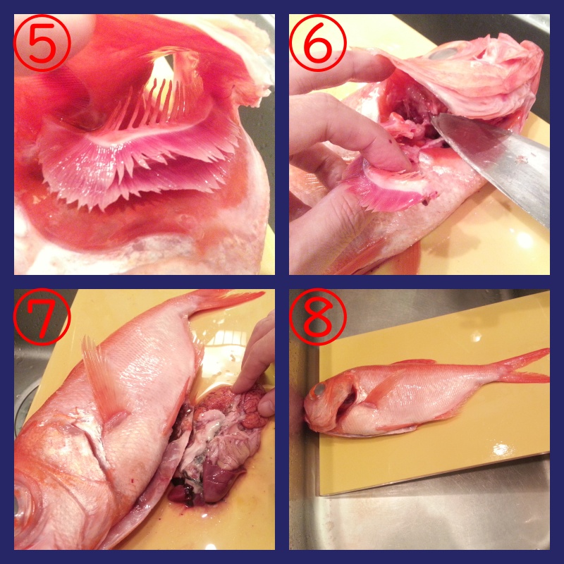 津本式究極の血抜き 金目鯛