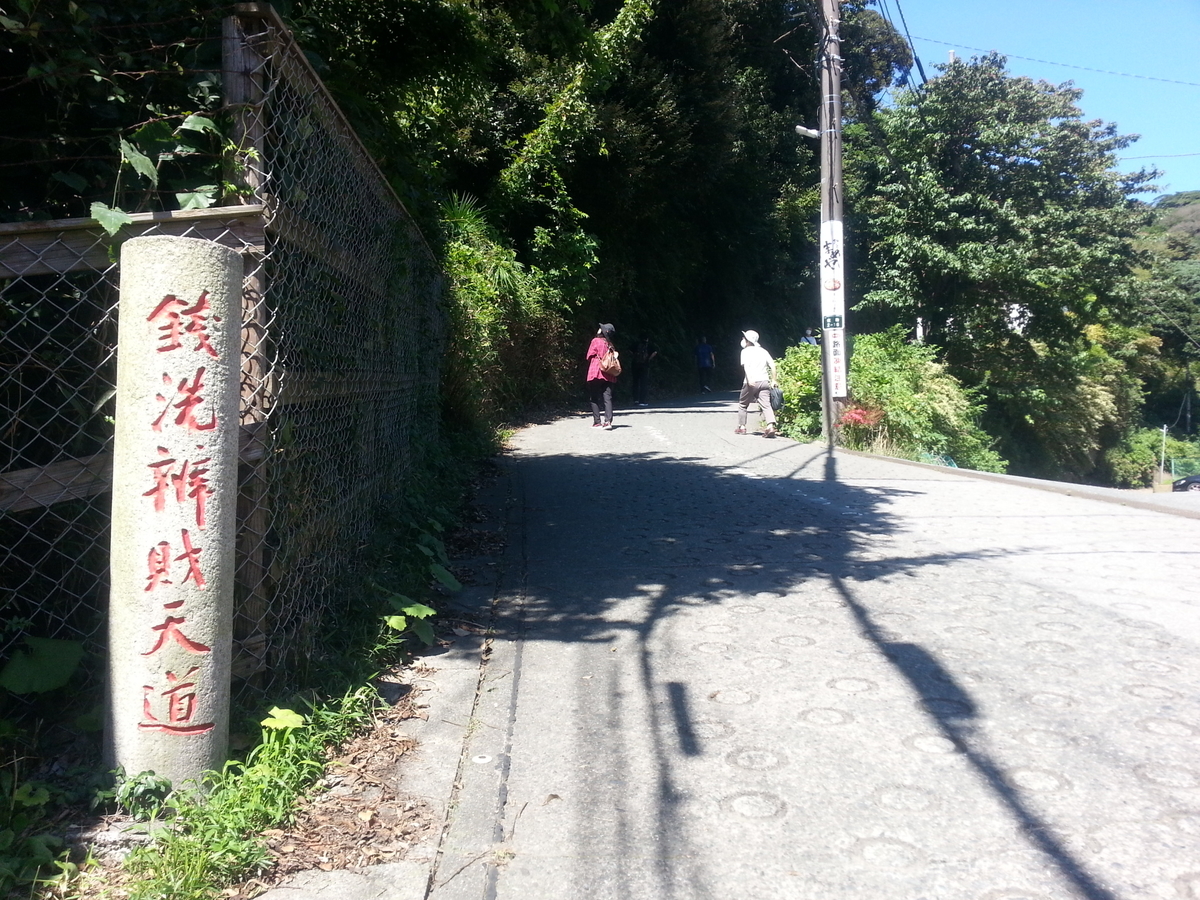 鎌倉市「海と山の満喫コース」しっかり山歩き