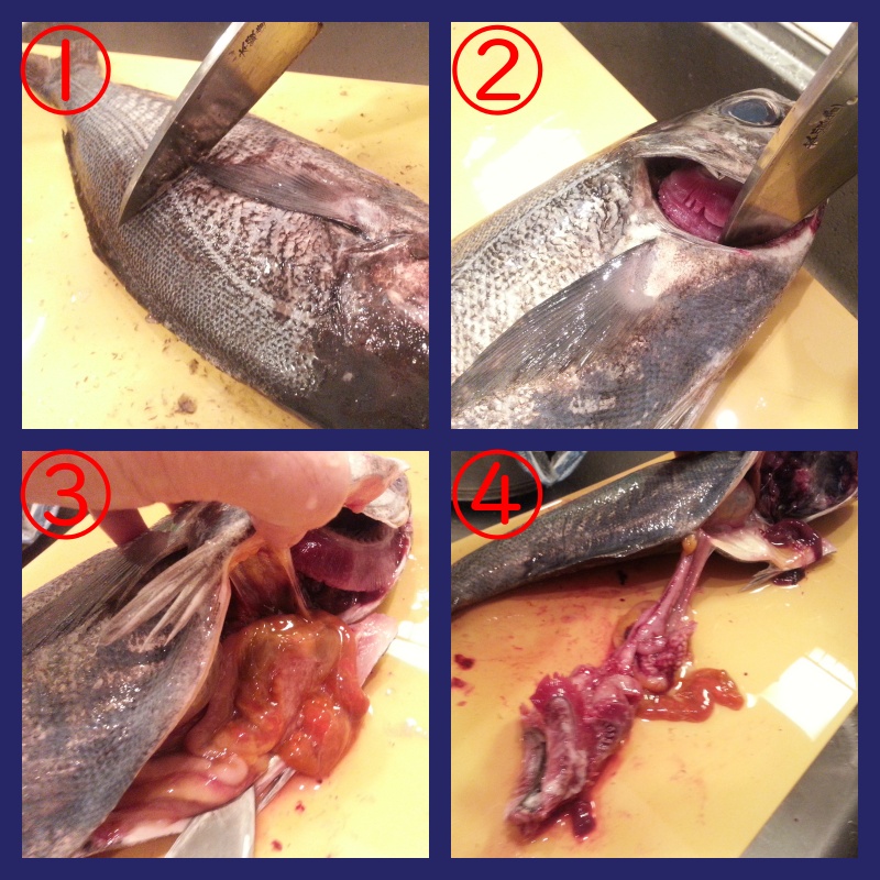 メダイの捌き方（おろし方）