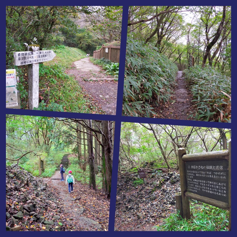 筑波山 自由研究路