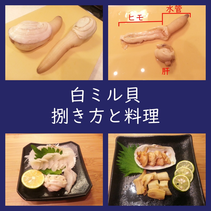 白ミル貝（なみがい）捌き方と料理 ブログ