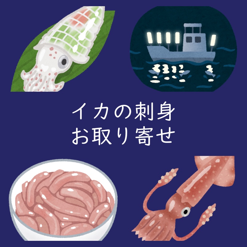 イカの刺身 お取り寄せ おすすめ 通販