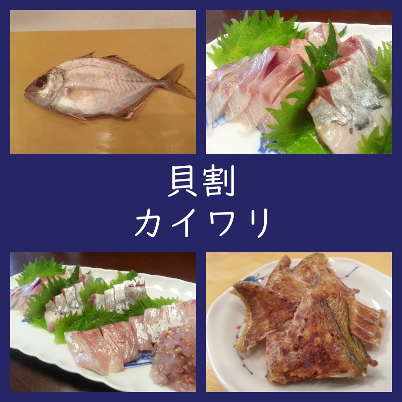 カイワリの刺身はどんな味？ブログ