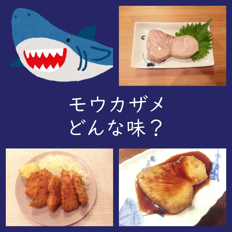 モウカザメってどんな味？食べ方・作り方・レシピ