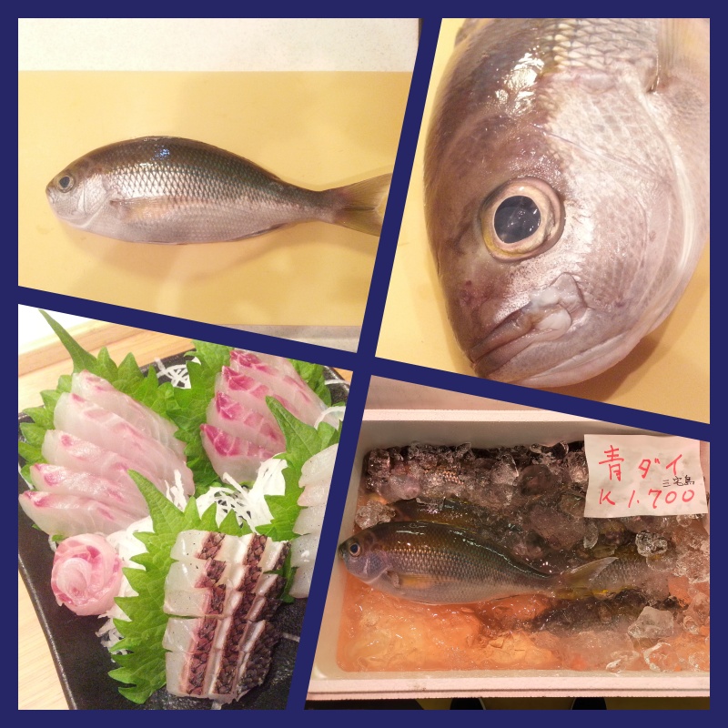 知名度は低いが美味しい魚　アオダイ