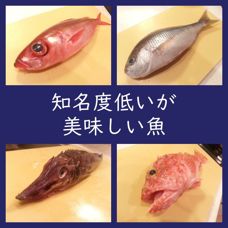 知名度は低いが美味しい魚！流通量が少ないけど旨い魚！