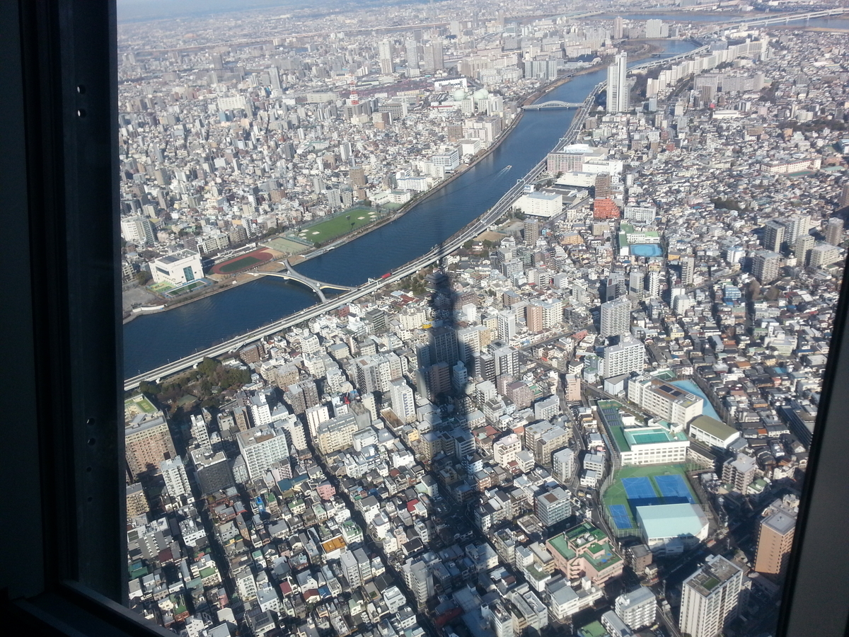 はとバス体験記 東京スカイツリーと浅草散策