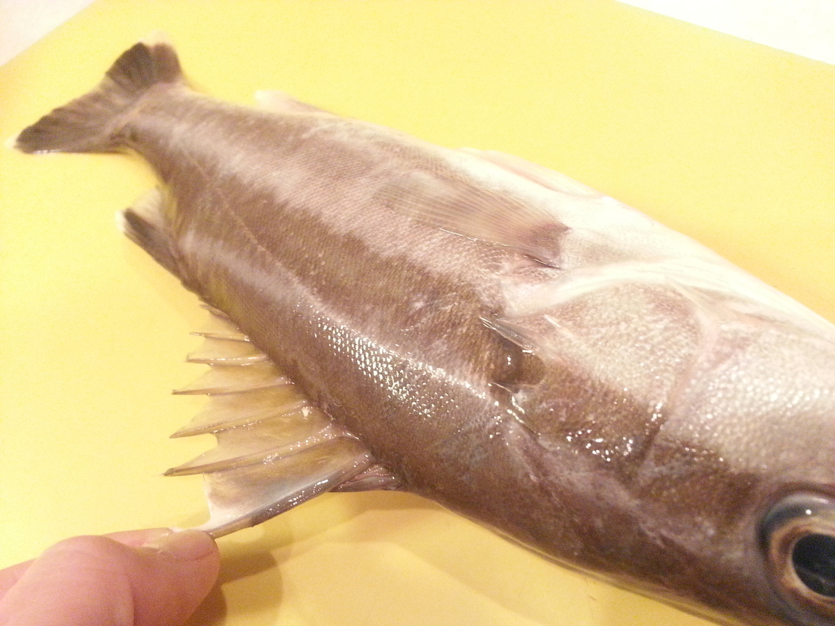 魚市場で購入した長崎産の本アラ