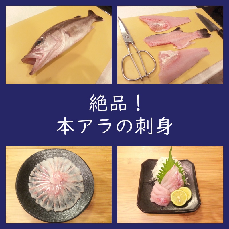 美味しい魚 本アラ 薄造り（刺身）の作り方