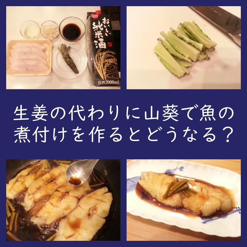 生姜の代わりに山葵を使って魚の煮付けを作るとどうなるか？味