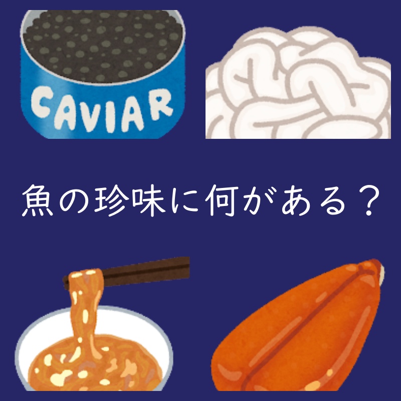 魚介の内臓を使った珍味に何がある？呼び方は？（おつまみ通販）