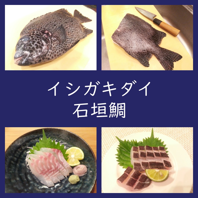 刺身が絶品！イシガキダイの食べ方一例（焼き霜造り、炙り刺身、アラ煮）