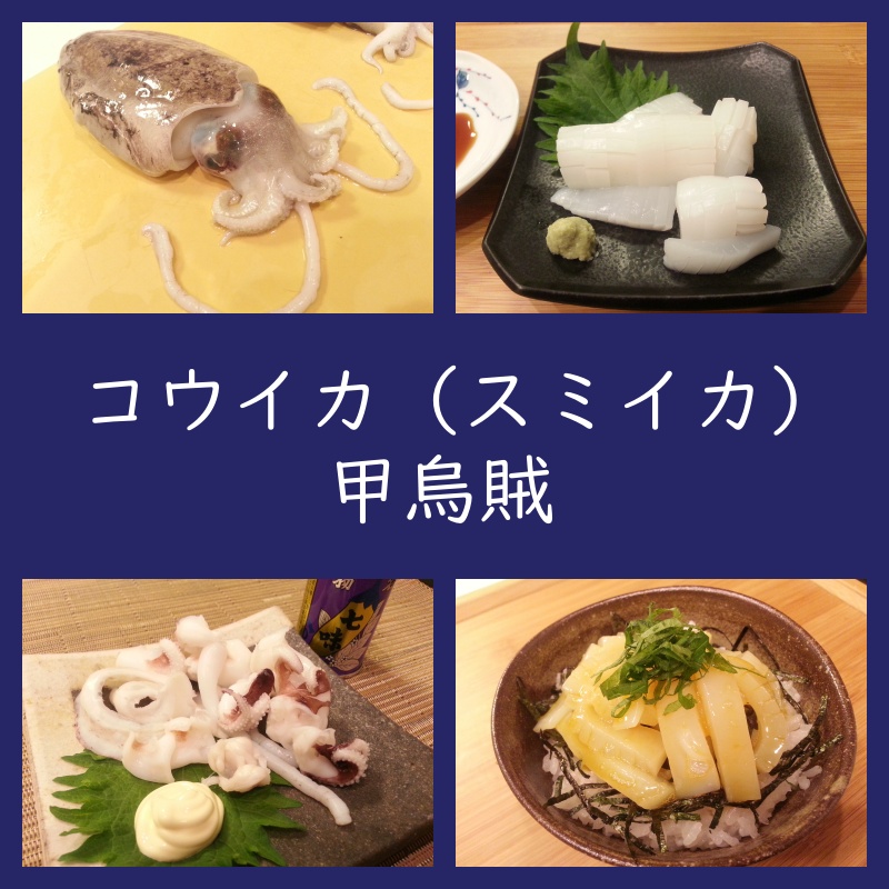 実践！コウイカ（スミイカ）捌き方／料理は刺身・塩ゆで・煮物・フライ