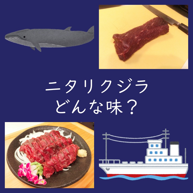 ニタリクジラはどんな味？刺身とステーキで食べてみた！（食べ方・レシピ）